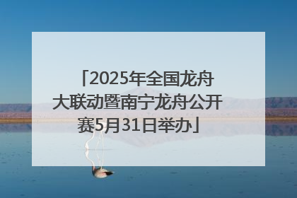 2025年全国龙舟大联动暨南宁龙舟公开赛5月31日举办