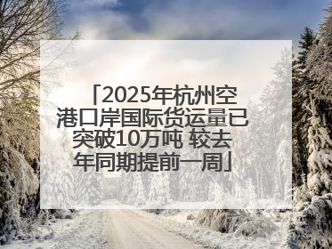 2025年杭州空港口岸国际货运量已突破10万吨 较去年同期提前一周