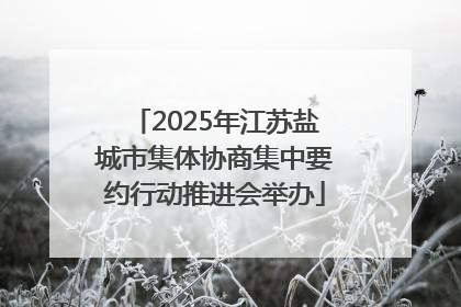 2025年江苏盐城市集体协商集中要约行动推进会举办
