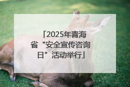 2025年青海省“安全宣传咨询日”活动举行