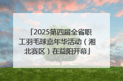 2025第四届全省职工羽毛球嘉年华活动（湘北赛区）在益阳开幕