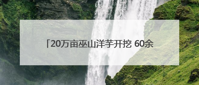 20万亩巫山洋芋开挖 60余名主播齐聚田间直播助农销售