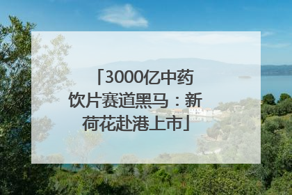 3000亿中药饮片赛道黑马：新荷花赴港上市