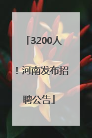 3200人！河南发布招聘公告