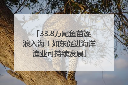 33.8万尾鱼苗逐浪入海！如东促进海洋渔业可持续发展