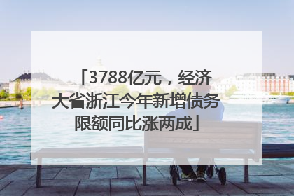 3788亿元，经济大省浙江今年新增债务限额同比涨两成