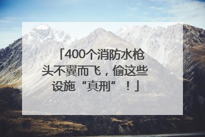 400个消防水枪头不翼而飞，偷这些设施“真刑”！