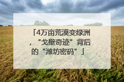 4万亩荒漠变绿洲，“戈壁奇迹”背后的“潍坊密码”