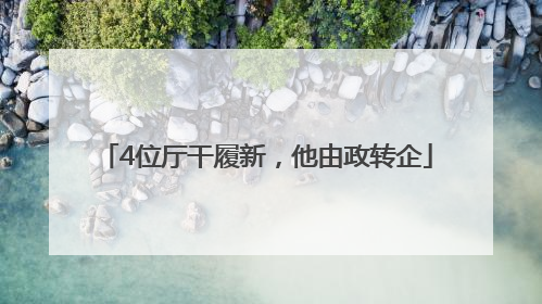 4位厅干履新，他由政转企