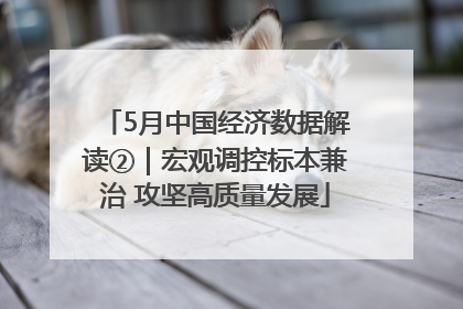 5月中国经济数据解读②｜宏观调控标本兼治 攻坚高质量发展