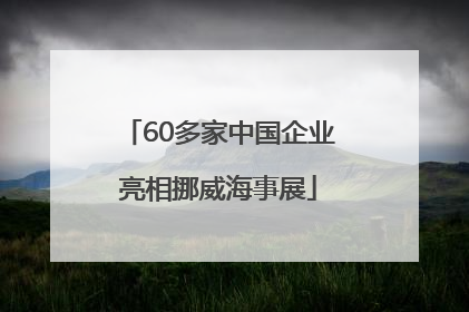 60多家中国企业亮相挪威海事展