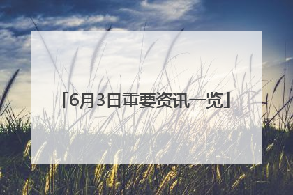 6月3日重要资讯一览