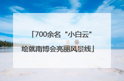 700余名“小白云”绘就南博会亮丽风景线