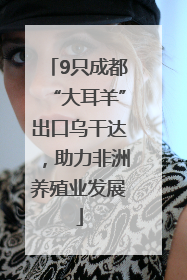 9只成都“大耳羊”出口乌干达，助力非洲养殖业发展