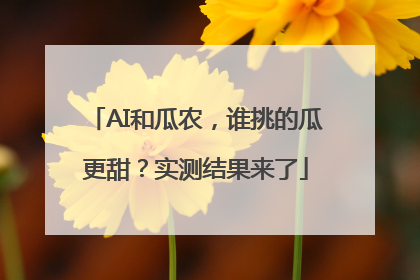 AI和瓜农，谁挑的瓜更甜？实测结果来了